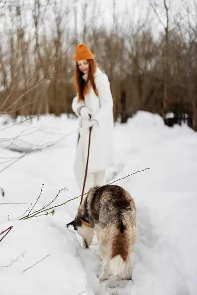 Jovem Mulher Feliz Roupas Inverno Andando Cão Husky Fresco Neve — Fotografia de Stock