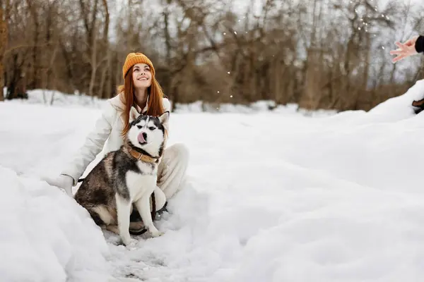 woman with a purebred dog winter landscape walk friendship winter holidays. High quality photo