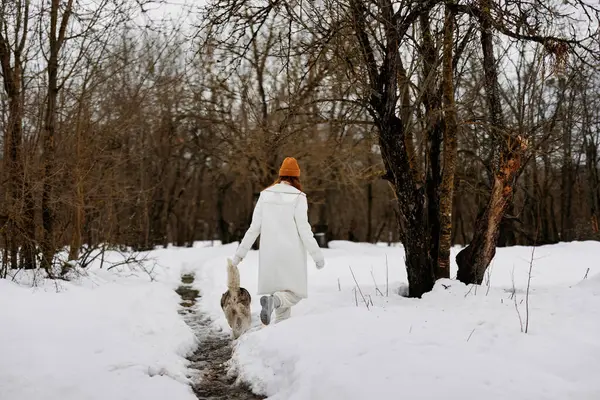 Felice Giovane Donna Vestiti Invernali Spasso Cane Nella Neve Stile — Foto Stock