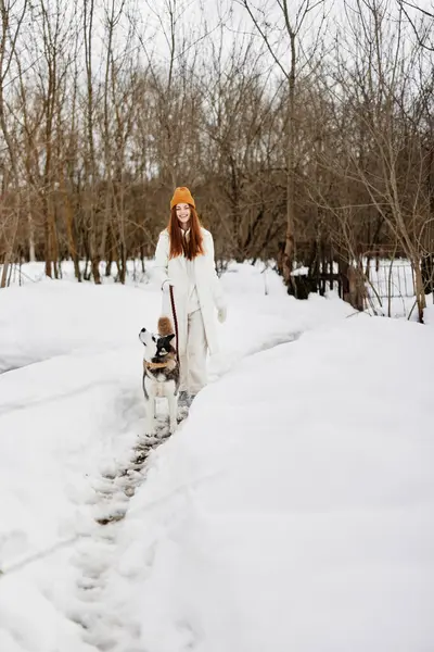 Junge Frau Schnee Spielt Mit Einem Hund Husky Spaß Freundschaft — Stockfoto