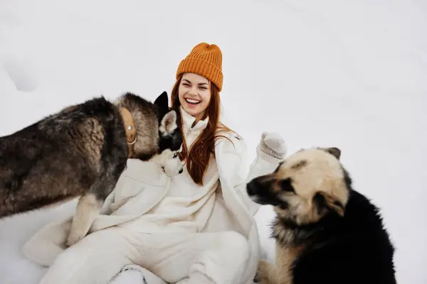 Happy Young Woman Snow Playing Dogs Fun Friendship Fresh Air — Stock Photo, Image