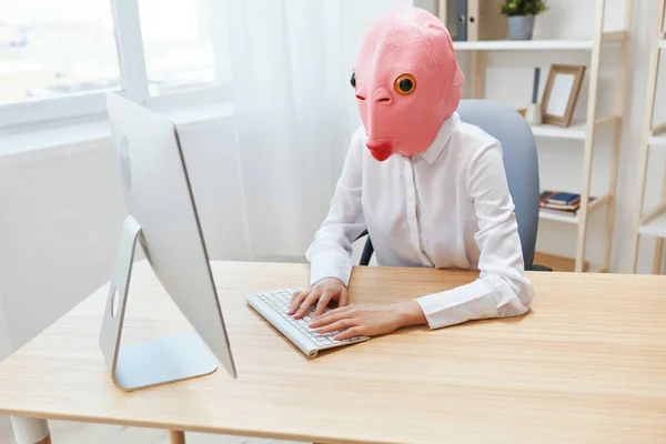 Focused Funny Crazy Businesswoman Worker Freelancer Pink Fish Mask Work — Stock Photo, Image