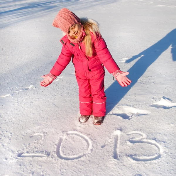 Logga in snö 2013 — Stockfoto