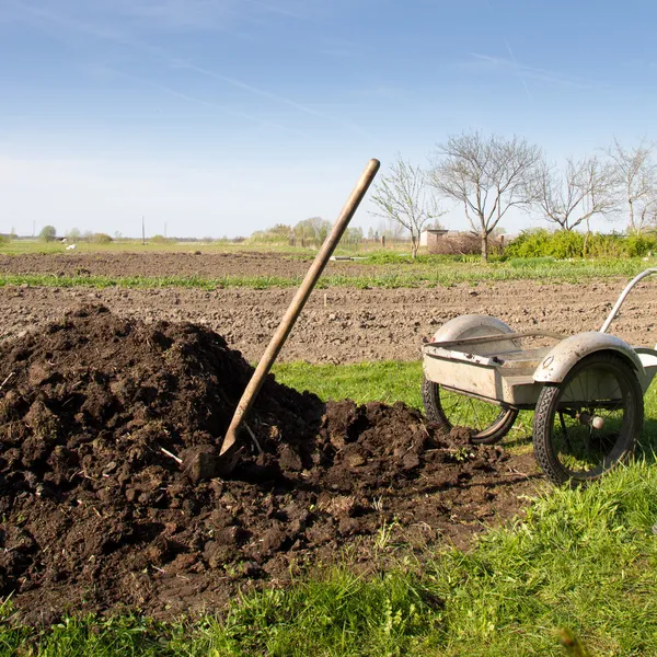 Organic fertilizer — Stock Photo, Image