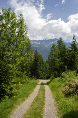 İsviçre Alpleri'nde köy yolunda
