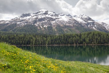 St moritz Gölü, İsviçre.