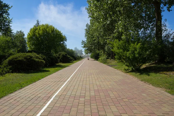 Empty paved walking path — Stock Photo, Image