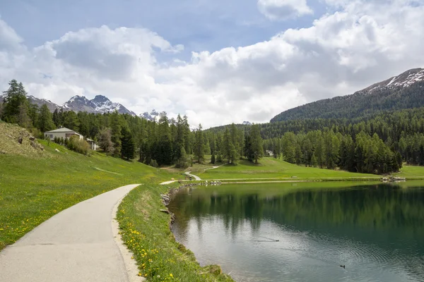 Tó st. moritz, Svájc. — Stock Fotó