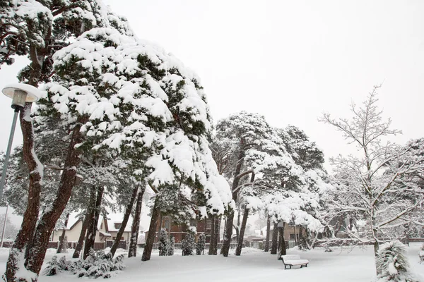 Parque da cidade inverno — Fotografia de Stock