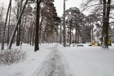 Kışın şehir parkı