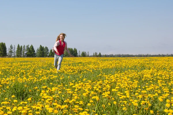 Dandelion meadow — Stock Photo, Image