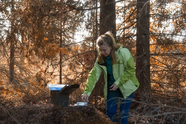 Eine Frau Beim Geocaching Frauen Wald Finden Geocache Container Große — Stockfoto