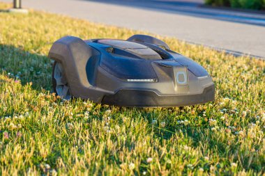 electric mowing robot working in city park