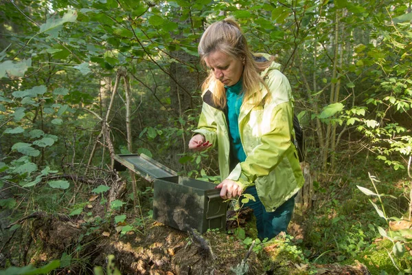 Woman Woods Finds Large Geocaching Container — Stockfoto