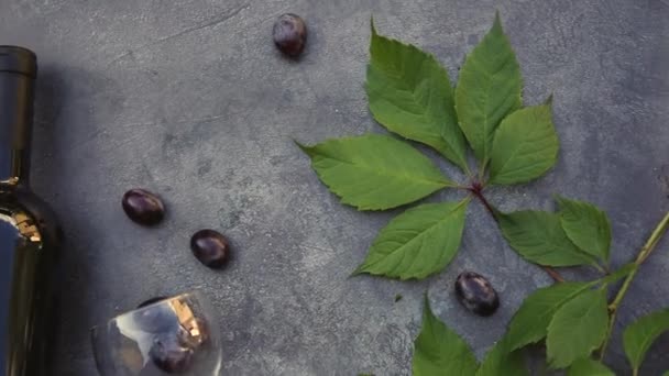 Ovanifrån av flaska rött vin, grön vinranka, vinäger och mogen druva på vintage mörk sten bord bakgrund. Vinbutik vinbar vingård eller vinprovning koncept. — Stockvideo