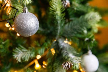Klasik Noel süslemeli yılbaşı ağacı. Noel ağacı, gümüş süslemeler, süsler, oyuncak ve top. Modern klasik stil iç tasarım dairesi. Evde Noel arifesi