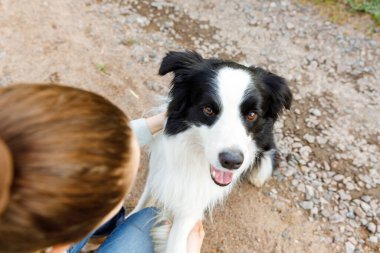 Gülümseyen genç ve çekici bir kadın yaz sezonu arka planında sevimli köpek yavrusu çoban köpeğiyle oynuyor. Kucaklayan köpek arkadaşını kucaklayan bir kız. Hayvan bakımı ve hayvan bakımı kavramı.