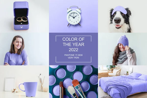 Collage aus verschiedenen Fotos eingefärbt in Trendfarbe des Jahres 2022 Sehr Peri, um Farbtrends zu demonstrieren. Inspiriert durch die Verwendung von Farbe 17-3938. Konzept Farbe des Jahres. — Stockfoto