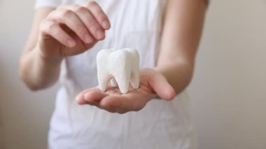 Sağlık diş sağlığı konsepti. Beyaz arka planda izole edilmiş beyaz, sağlıklı bir diş modelini tutan kadın. Diş beyazlatma, diş temizliği, diş bakımı, dişçi günü..