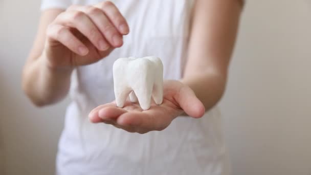 Concepto de cuidado dental de salud. Mano de mujer sosteniendo modelo de diente sano blanco aislado sobre fondo blanco. Blanqueamiento dental, higiene bucal dental, restauración dental, día del dentista. — Vídeo de stock