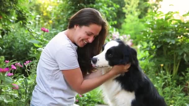 Souriant jeune femme attrayante jouer avec chiot mignon chien frontière collie sur fond d'été en plein air. Fille tenant embrassant chien ami. Animaux et soins des animaux concept. — Video