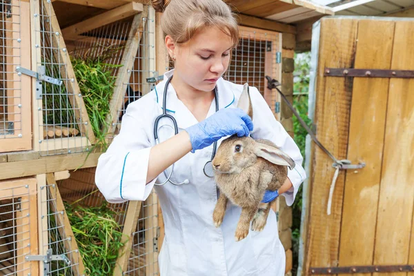 Glad ung veterinär kvinna med stetoskop innehav och undersöka kanin på ranch bakgrund. Bunny i veterinären händer för kontroll i naturliga eko gård. Djurskötsel och ekologiskt jordbruk. — Stockfoto