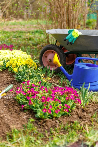 Flowerbed and gardener equipment wheelbarrow garden cart watering can garden rake in garden on summer day. Farm worker tools ready to planting seedlings or flowers. Gardening and agriculture concept — Fotografia de Stock