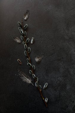 Happy Easter concept. Preparation for holiday. Pussy willow flowers branches feather on trendy grunge scratched dark black stone shale background. Simple minimalism flat lay top view copy space