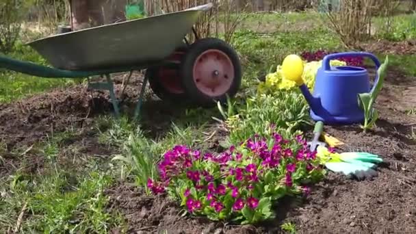 Çiçekli yatak ve bahçıvan ekipmanları el arabası bahçe sulama konservesi yaz günü bahçede tırmık. Çiftlik işçisi aletleri tohum ya da çiçek ekmeye hazır. Bahçe ve tarım kavramı — Stok video