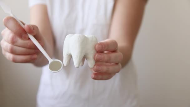 Здоровье стоматологической помощи. Женщина держит белую здоровую модель зуба и зубное зеркало на белом фоне. Отбеливание зубов, гигиена полости рта, восстановление зубов, День стоматолога. — стоковое видео