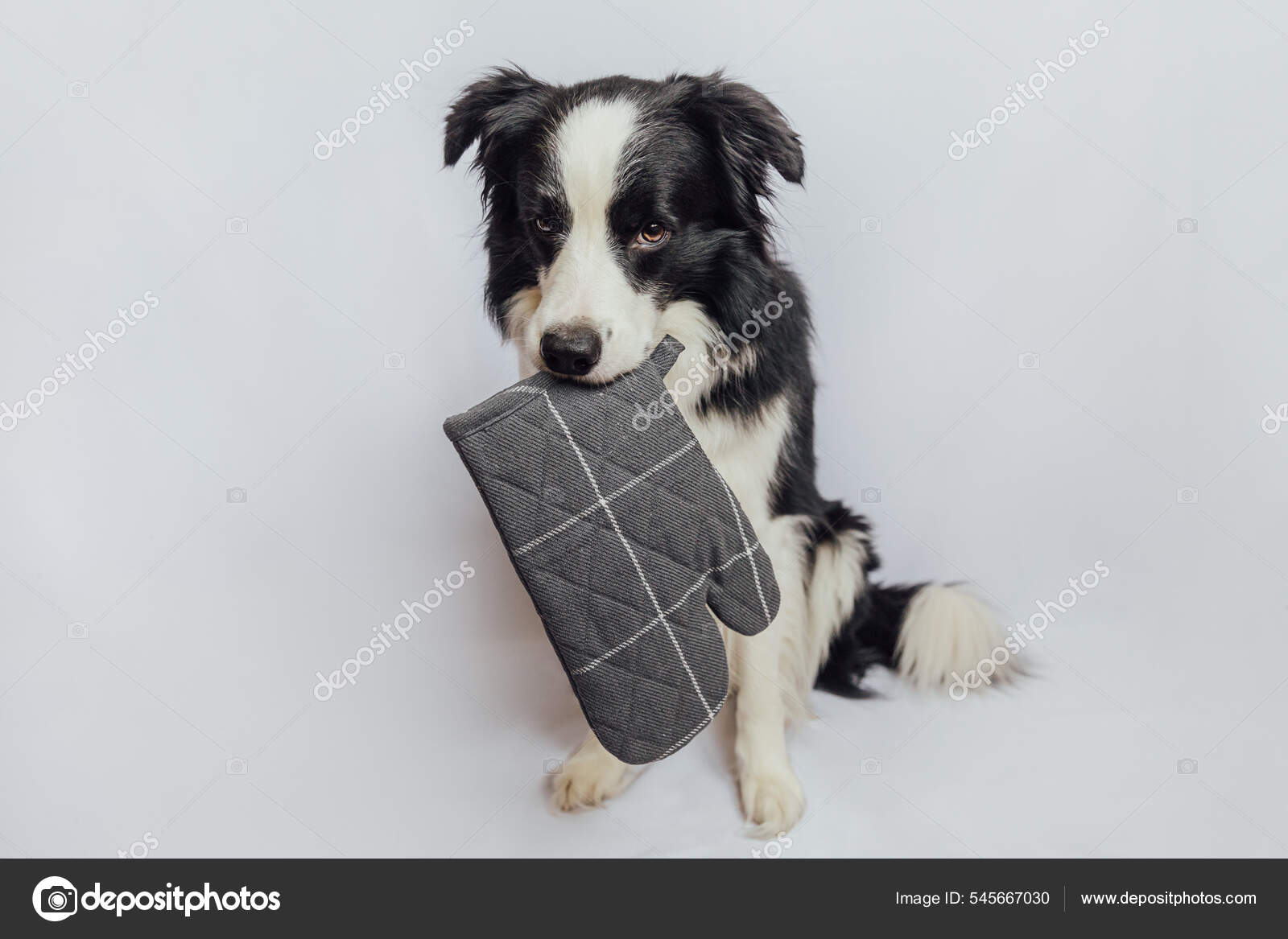 Dog Chefs Oven Mitt