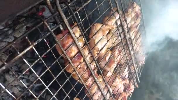 Frischer Lachsfisch und Speckfleisch auf dem Grillrost. Barbecue Kochen auf gebratenem Räuchergrill. Gesunder Mittagsbraten am Lagerfeuer. Camping Essen, Picknick, Wochenendruhe Konzept. — Stockvideo