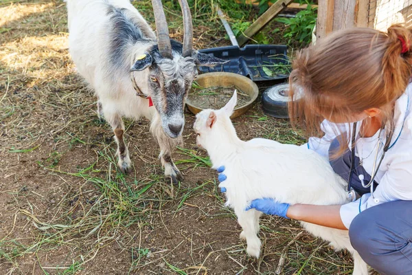 Ung veterinär kvinna med stetoskop innehav och undersöka get unge på ranch bakgrund. Ung geting i veterinären händer för kontroll i naturliga eko gård. Modern animalieproduktion, ekologiskt jordbruk. — Stockfoto
