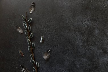 Happy Easter concept. Preparation for holiday. Pussy willow flowers branches feather on trendy grunge scratched dark black stone shale background. Simple minimalism flat lay top view copy space