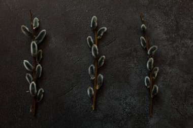 Happy Easter concept. Preparation for holiday. Pussy willow flowers branches on trendy grunge scratched dark black stone shale background. Simple minimalism flat lay top view, copy space
