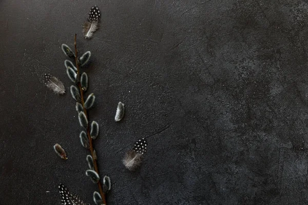 Happy Easter concept. Preparation for holiday. Pussy willow flowers branches feather on trendy grunge scratched dark black stone shale background. Simple minimalism flat lay top view copy space — Foto de Stock