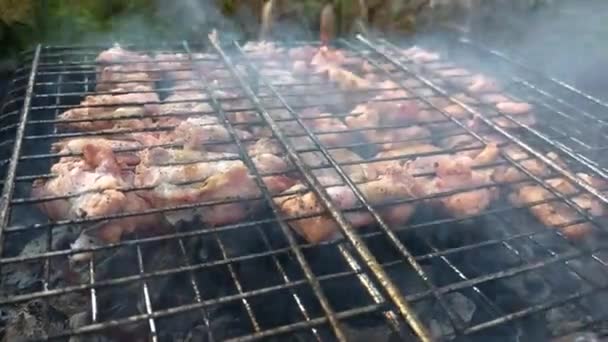 Pescado de salmón fresco y carne de tocino en la parrilla de barbacoa. Barbacoa cocinada sobre parrilla ahumada frita. Almuerzo saludable asado barbacoa en la fogata campestre. Comida para acampar, picnic, concepto de descanso de fin de semana. — Vídeos de Stock