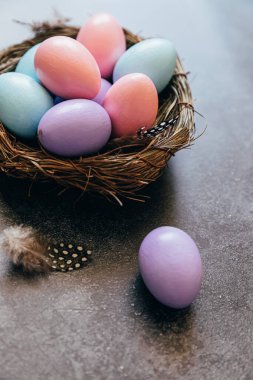 Happy Easter concept. Preparation for holiday. Colorful pastel decorated easter eggs in nest on grunge scratched dark black shale background. Simple minimalism copy space