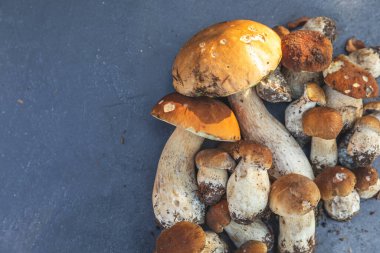 Sonbahar sonbahar kompozisyonu. Yenebilir çiğ mantarlar Penny Bun koyu siyah taştan bir arka planda. Gri masada ağlar. Lezzetli organik mantar gurmesi pişirmek. Düz görünüm kopyalama alanı