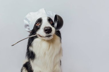 Mutfak kaşığı kepçesiyle aşçı şapkalı komik köpek yavrusu Collie beyaz arka planda izole edilmiş. Şef köpek yemeği pişiriyor. Ev yapımı yemek menüsü konsepti. Yemek pişirme süreci