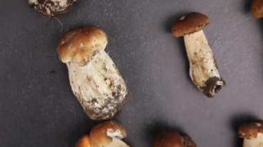 Sonbahar sonbahar kompozisyonu. Yenebilir çiğ mantarlar Penny Bun koyu siyah taştan bir arka planda. Gri masada ağlar. Lezzetli organik mantar gurmesi pişirmek. Düz üst görünüm