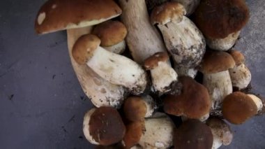 Sonbahar sonbahar kompozisyonu. Yenebilir çiğ mantarlar Penny Bun koyu siyah taştan bir arka planda. Gri masada ağlar. Lezzetli organik mantar gurmesi pişirmek. Düz üst görünüm