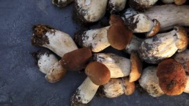 Sonbahar sonbahar kompozisyonu. Yenebilir çiğ mantarlar Penny Bun koyu siyah taştan bir arka planda. Gri masada ağlar. Lezzetli organik mantar gurmesi pişirmek. Düz üst görünüm