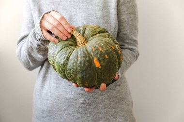 Sonbahar Arkaplanı. El ele tutuşan tanınmayan bir kadın sonbahar balkabağı, beyaz arka planda izole edilmiş. Mevsimler değişti olgun organik yiyecekler, Cadılar Bayramı partisi Şükran Günü