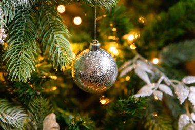 Klasik Noel süslemeli yılbaşı ağacı. Noel ağacı, gümüş süslemeler, süsler, oyuncak ve top. Modern klasik stil iç tasarım dairesi. Evde Noel arifesi