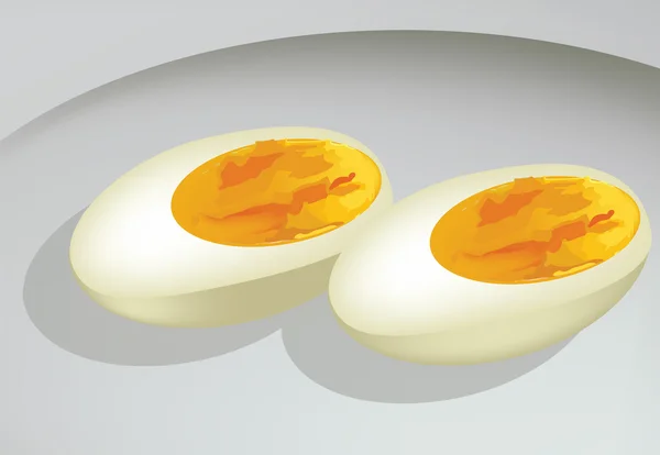 Oeufs — Image vectorielle