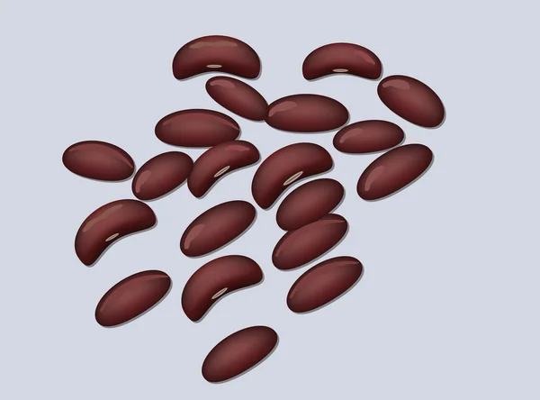 Beans — Stock Vector