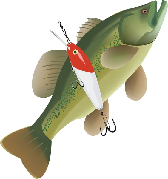 Pesca deportiva — Vector de stock