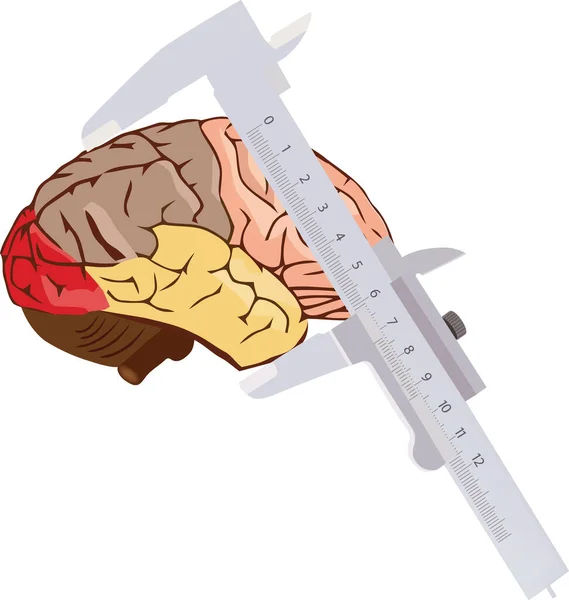 Fermagli Precisione Con Cervello — Vettoriale Stock