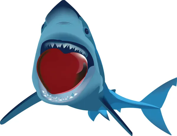 Tubarão Feroz Com Coração Nas Mandíbulas —  Vetores de Stock